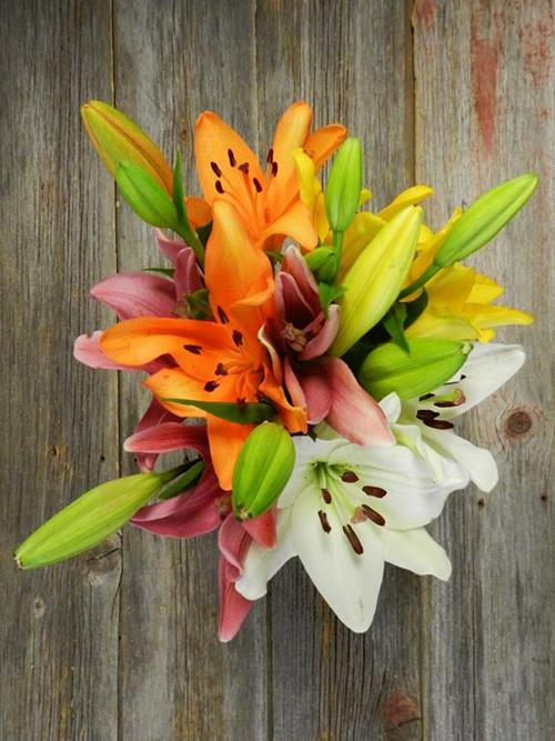 3-5 Blooms 3 Or More Assorted Color L.A. Hybrids Lilies